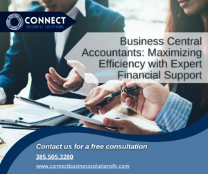 Business Central Accountants Maximizing Efficiency with Expert Financial Support