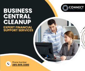 Business Central Cleanup Expert Financial Support Services
